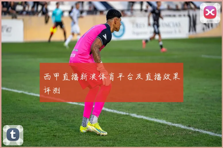 西甲直播新浪体育平台及直播效果评测