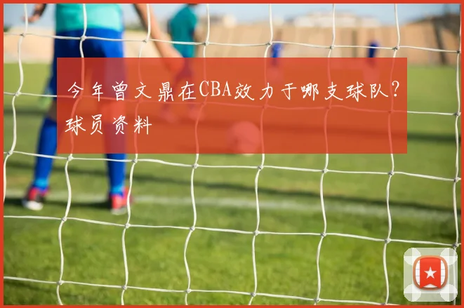 今年曾文鼎在CBA效力于哪支球队？球员资料