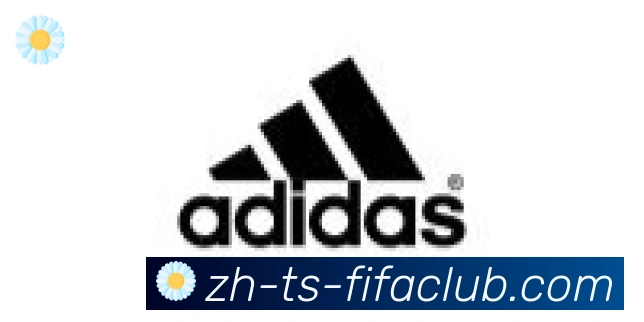 世界杯直播合作伙伴